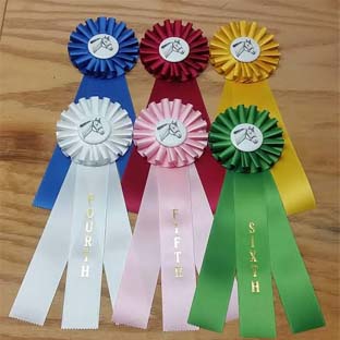 Horse Show Ribbon