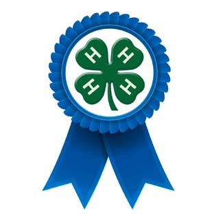 4-H Ribbon